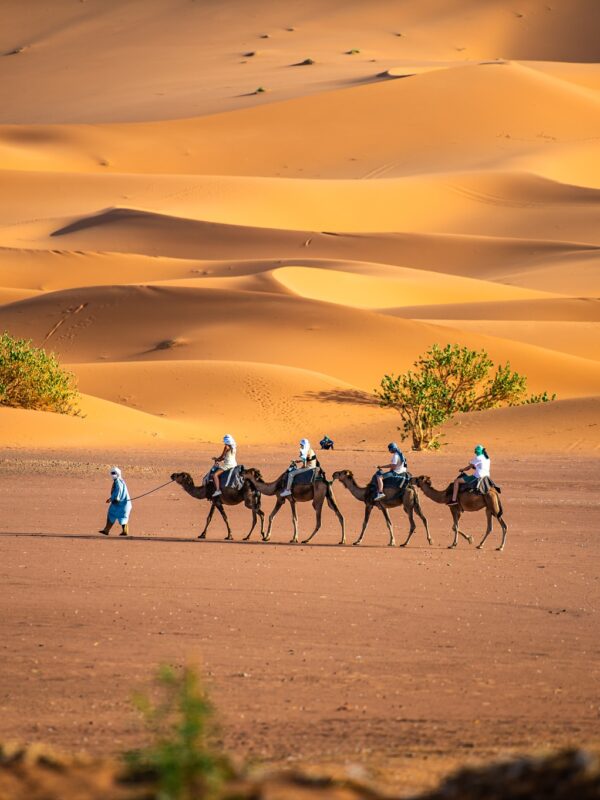 Tour de 8 Días desde Tánger a Marrakech
