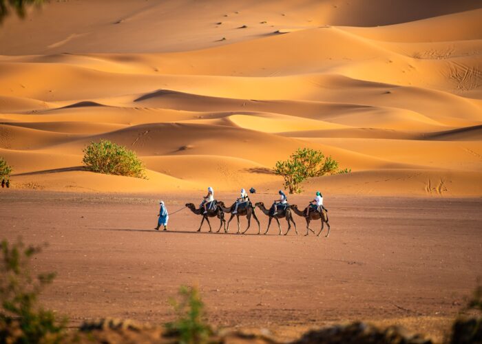 Tour de 8 Días desde Tánger a Marrakech