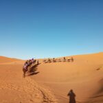 Paseo en camello al atardecer y noche en el desierto