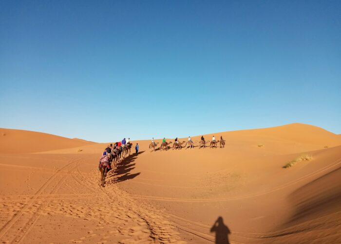 Paseo en camello al atardecer y noche en el desierto
