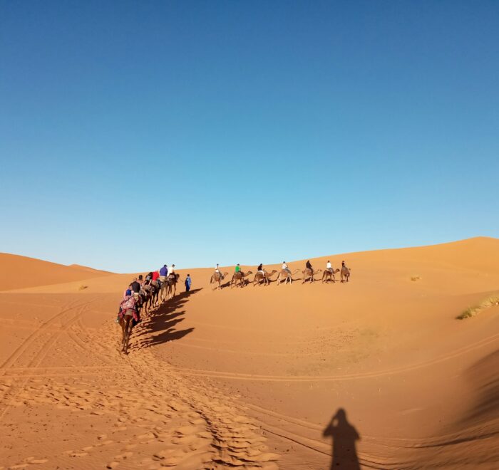 Paseo en camello al atardecer y noche en el desierto