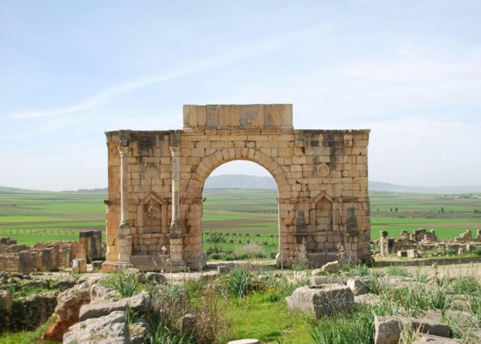 Excursión desde Fez a Volubilis y Meknes