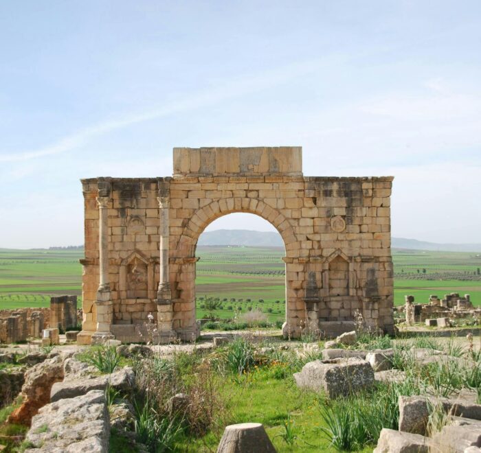 Excursión desde Fez a Volubilis y Meknes